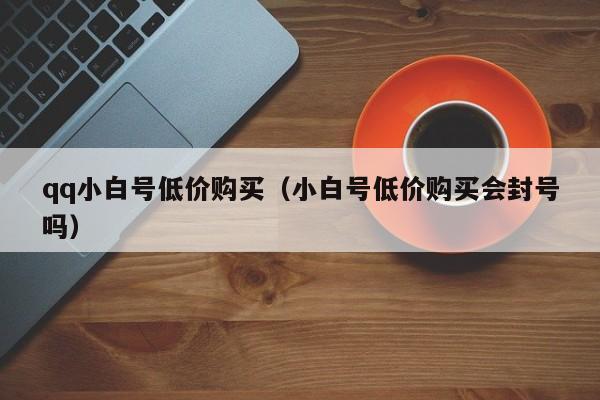 qq小白号低价购买（小白号低价购买会封号吗）