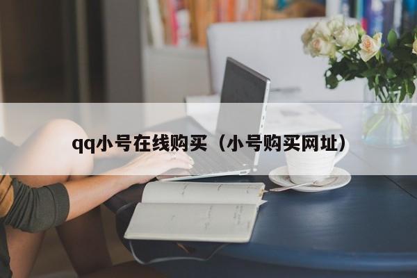 qq小号在线购买（小号购买网址）