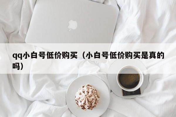 qq小白号低价购买（小白号低价购买是真的吗）