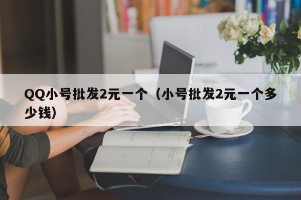 QQ小号批发2元一个（小号批发2元一个多少钱）