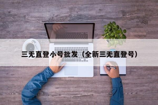 三无直登小号批发（全新三无直登号）