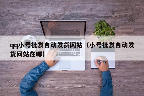 qq小号批发自动发货网站（小号批发自动发货网站在哪）