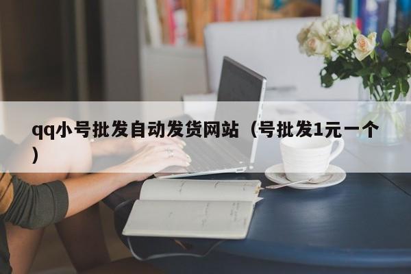 qq小号批发自动发货网站（号批发1元一个）