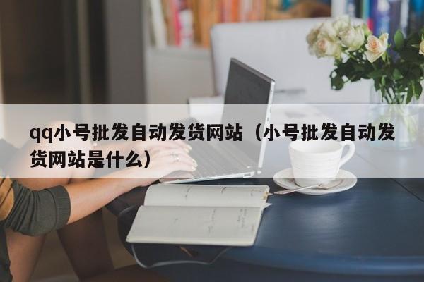 qq小号批发自动发货网站（小号批发自动发货网站是什么）