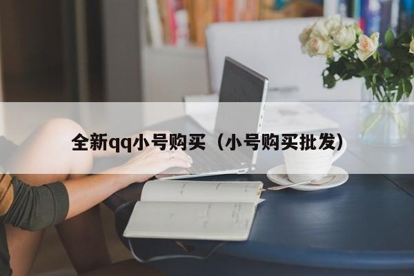 全新qq小号购买（小号购买批发）