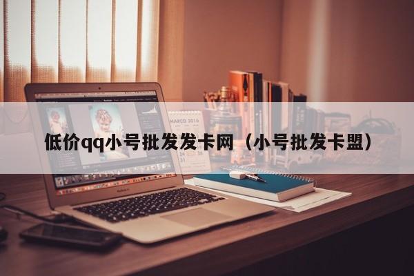 低价qq小号批发发卡网（小号批发卡盟）