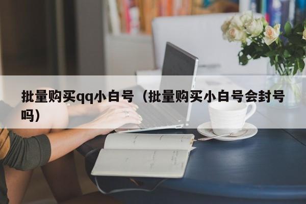 批量购买qq小白号（批量购买小白号会封号吗）