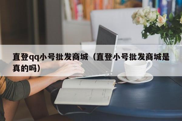 直登qq小号批发商城（直登小号批发商城是真的吗）