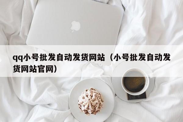 qq小号批发自动发货网站（小号批发自动发货网站官网）