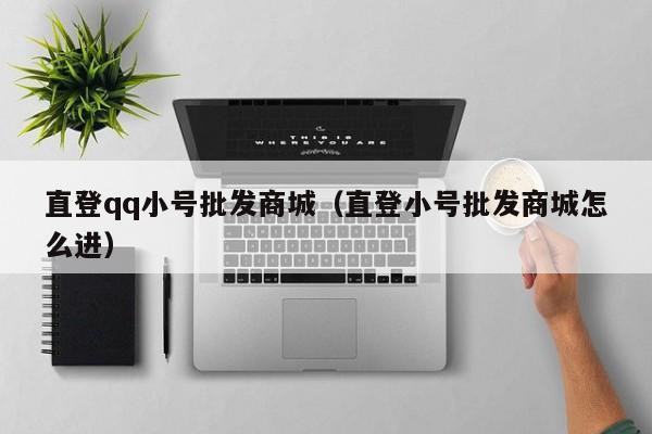 直登qq小号批发商城（直登小号批发商城怎么进）