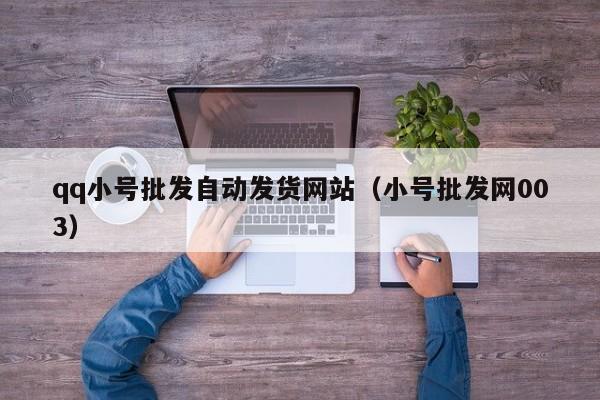 qq小号批发自动发货网站(小号批发网003)