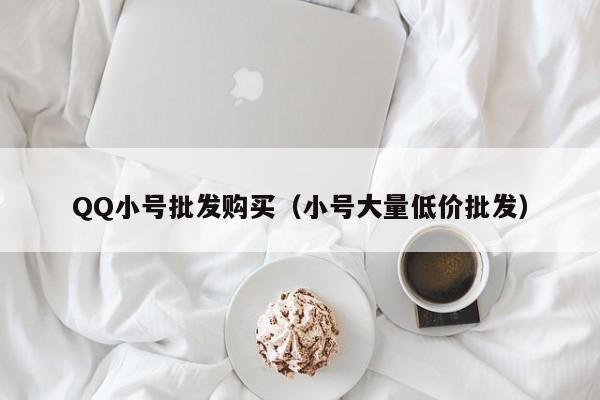QQ小号批发购买（小号大量低价批发）