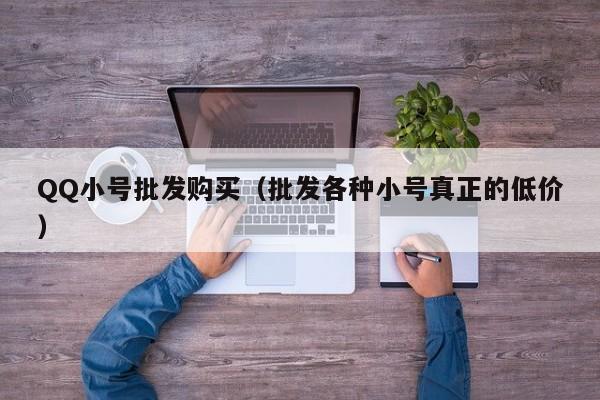 QQ小号批发购买（批发各种小号真正的低价）