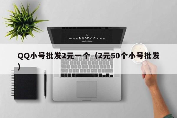 QQ小号批发2元一个（2元50个小号批发）