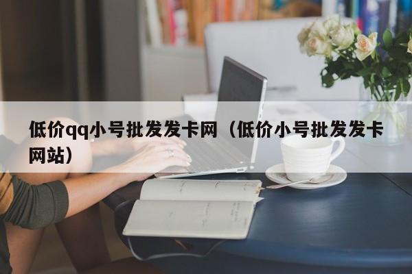 低价qq小号批发发卡网（低价小号批发发卡网站）