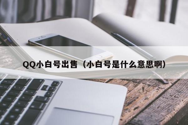 QQ小白号出售（小白号是什么意思啊）