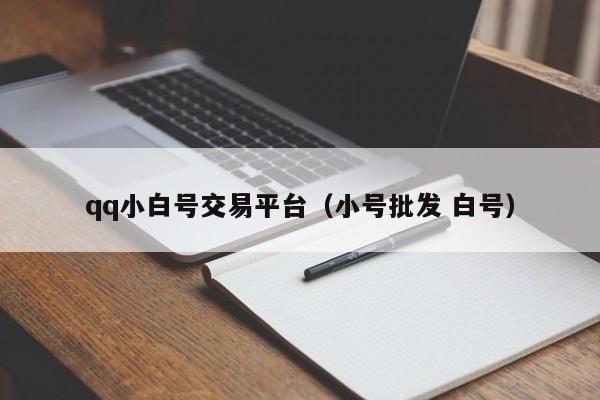 qq小白号交易平台（小号批发 白号）